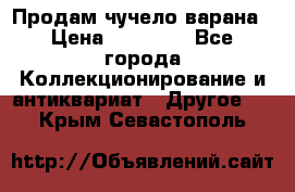 Продам чучело варана › Цена ­ 15 000 - Все города Коллекционирование и антиквариат » Другое   . Крым,Севастополь